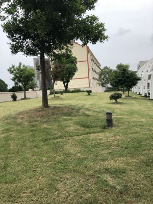 厂房设备
