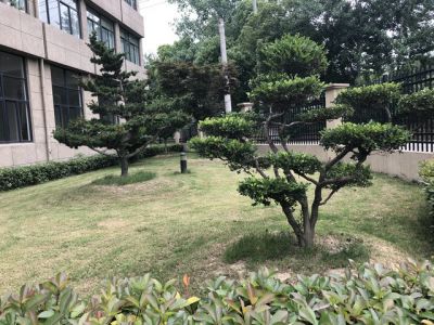 厂房设备